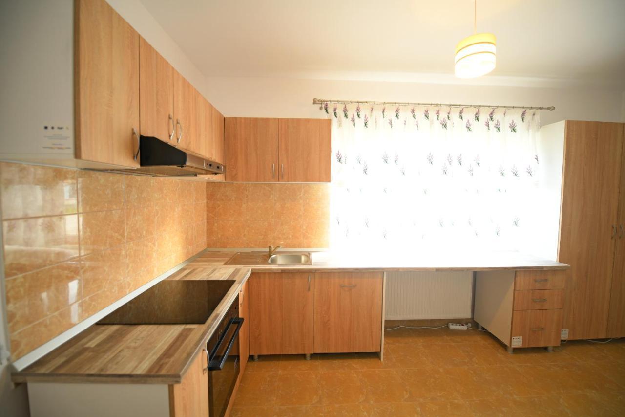 Pensiunea Hera Haţeg Extérieur photo